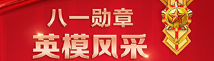 八一勛章·英模風采